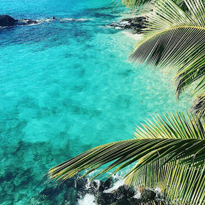 Meet your Posher, Oliver